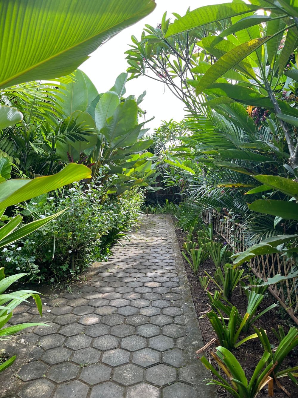 The Kori Sire wooden villa exterior, North Lombok